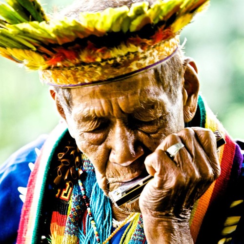 Taita Querubín, sabio ancestral Cofán